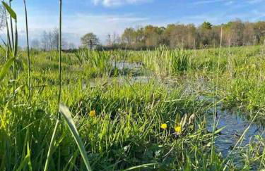 Villenouan domaine et gites - Photo 38