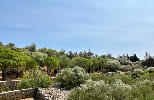 Charmante maison vue garrigue avec piscine - Foto 7