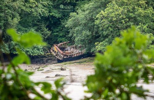 Gîte de Kerninon Maison spacieuse et lumineuse - Photo 37