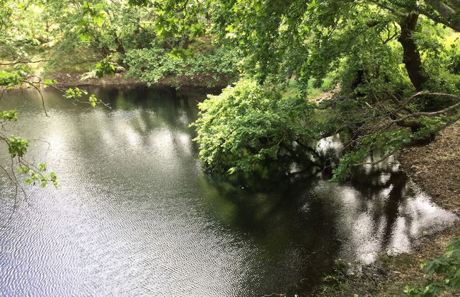 Valena Stylish Home -15 min to Elafonisi - Foto 52