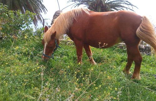 Azienda Agrituristica Le Terre Di San Leonardo - Foto 46