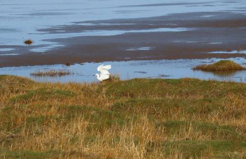 Dolphin House - Foto 54