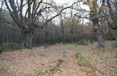 CASA RURAL LAS NAVILLAS - Foto 47