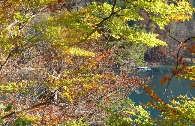 Spacious, Inviting Apartment Near Fussen in the Allgau Region in Bavaria - Foto 37