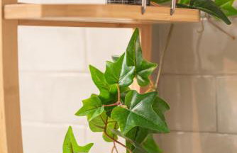 Keepos by Polykratis - Photo 25