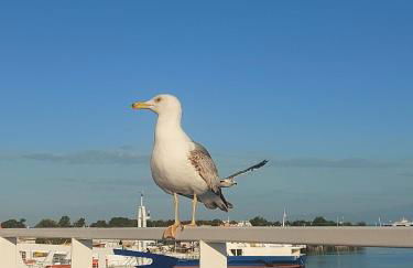 Sol Greco Apartment - Photo 22