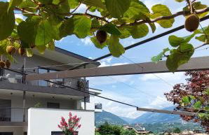 Marlingsuites - Vinea - Wieser Josef - Marling - Foto 40