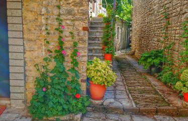 Archontiko Rapti Stone Traditional House - Foto 47