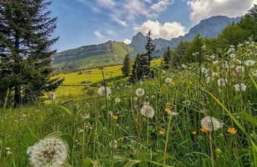 STUDIO LES GLOVETTES - Foto 22