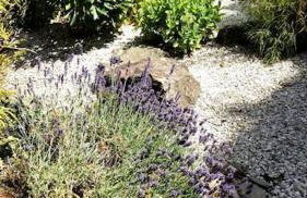 LIVING .... Bungalow mit großem Garten . - Foto 2