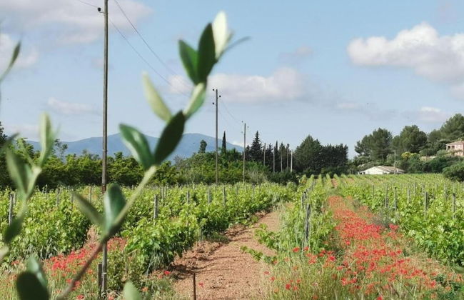 Villa in Vidauban With Pool & Vineyards Nearby - Foto 34