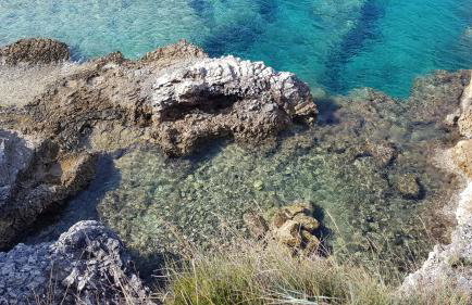 Apartmani Sunce i More - Photo 37