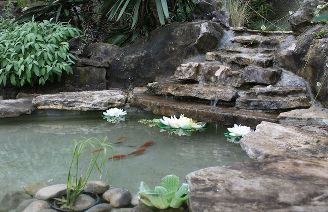 Villa Mandolina Apartments - Foto 27