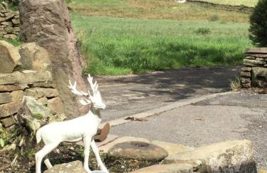 Cosy Rural Cottage Peak District, Pets Welcome - Foto 15