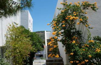 Christine Studios - Photo 57