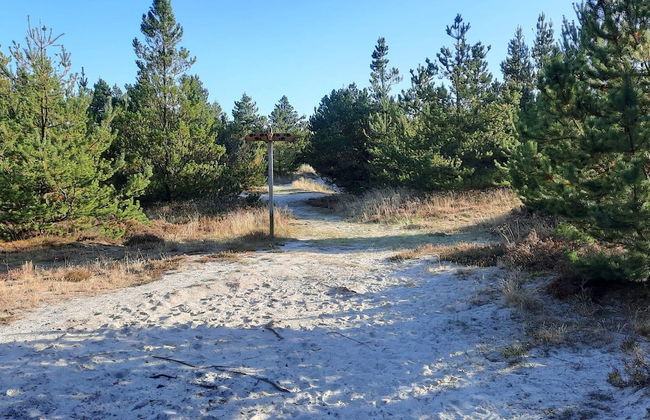 20 Person Holiday Home in Norre Nebel - Foto 6