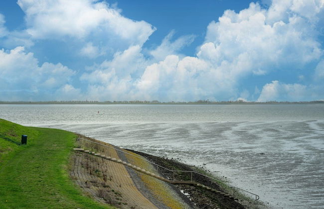 Holiday Home Near Scherpenisse Beach - Foto 35