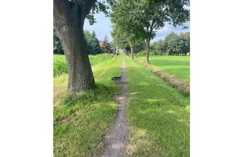 GRO-Holiday home Comfortable holiday residence - Foto 32