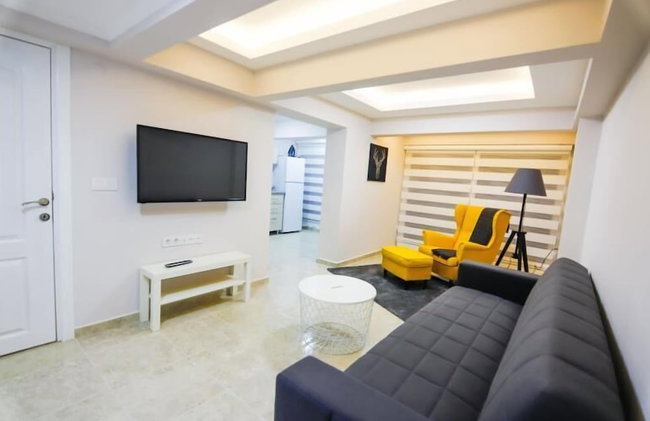 Little Gemin - Foto 12