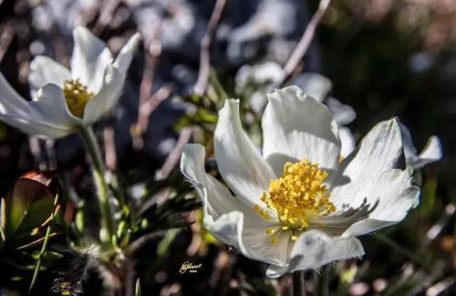 Comfortable Chalet in Giarola with Mountain View - Foto 33