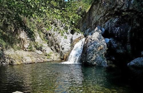 Les chambres de la ferme de chalas - Foto 49