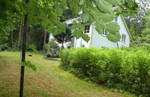 Ferienwohnung Niemann in Lutterloh - Photo 8