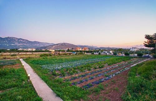 ILIOS K Village Resort - Foto 39