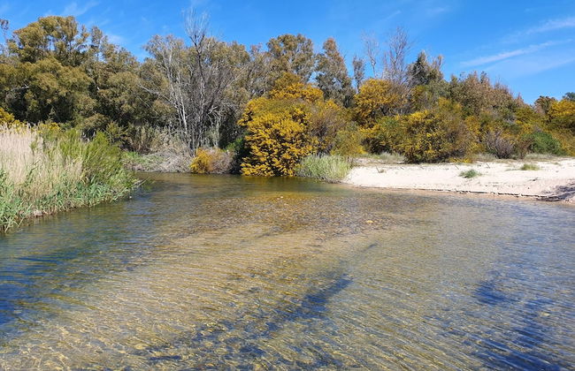 Agriturismo Corte Degli Ulivi - Foto 56