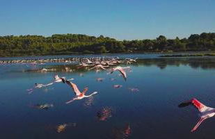 Maison de pecheur - Foto 75