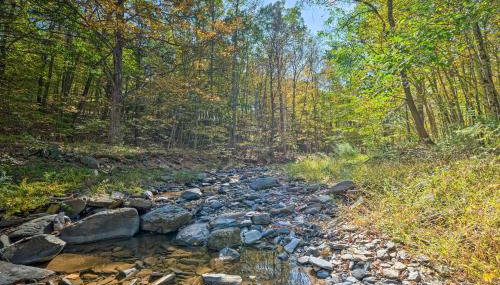 Catskill Mtn Home with Deck about 1 Miles to Zoom Flume! - Foto 2