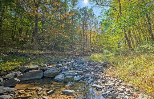 Catskill Mtn Home with Deck about 1 Miles to Zoom Flume! - Foto 2