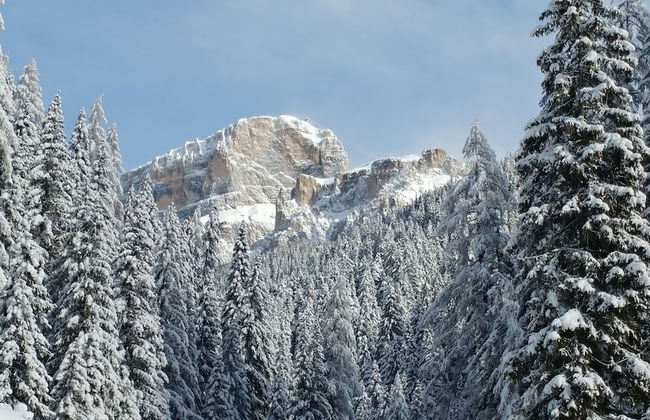 Casa del Bosco - Foto 17