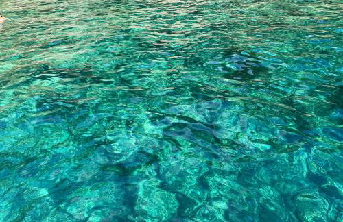 La via al mare - Portofino in battello da Nervi - Foto 42