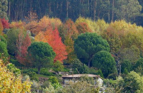Quinta de S. Vicente 317 - Foto 30