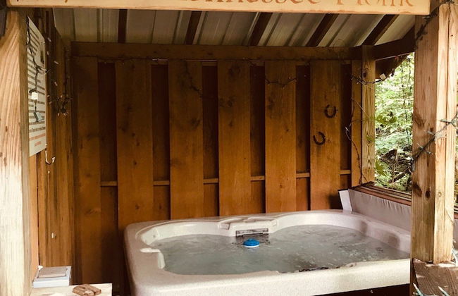 Blessed Nest - Photo 16