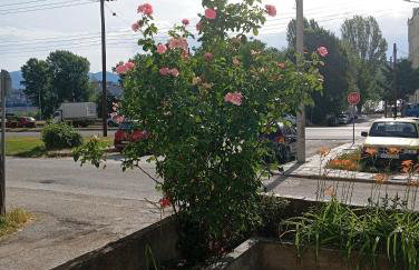 Anatoli's house - Foto 43