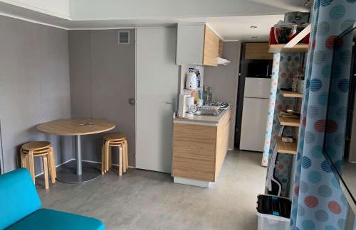 Le parc des roselieres 40 Saint Hilaire de Riez - Foto 12