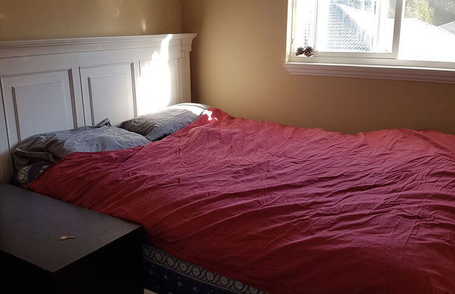 Berkshire Homestay - Foto 2