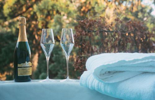 Le Grand Petit Prince - Domaine de Charme - Jacuzzis privatifs - Foto 59