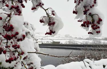 Bijou Cottage in Brontë Country with Wood-burning Stove & Hot Tub Spa - Foto 58