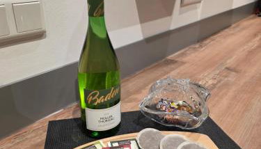 StorchenNest Pfeifers OdenwaldNest - Foto 4