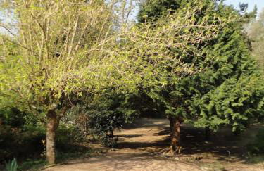 Grande maison familiale, calme, tranquille, 900 m de la plage - Foto 20