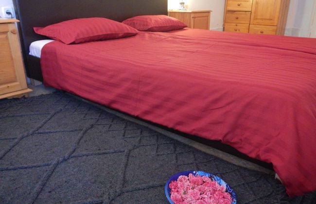 Galeria In The Garden - Photo 6