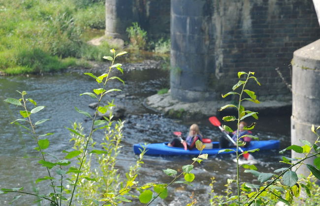 Bungalow in Belgium Near Green Hills - Foto 23