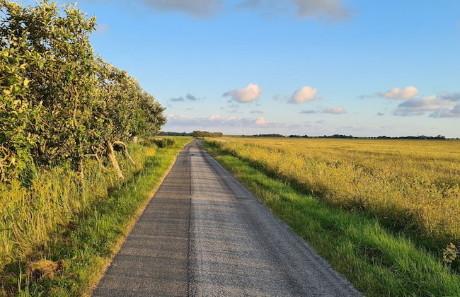 Ferienwohnungen Haus Schau ins Land - Foto 60