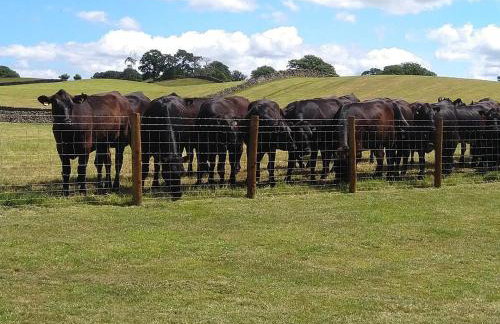 The Orchards - Foto 25