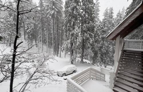 El Capitan Hideaway - A-Frame Cabin Yosemite West - Foto 28