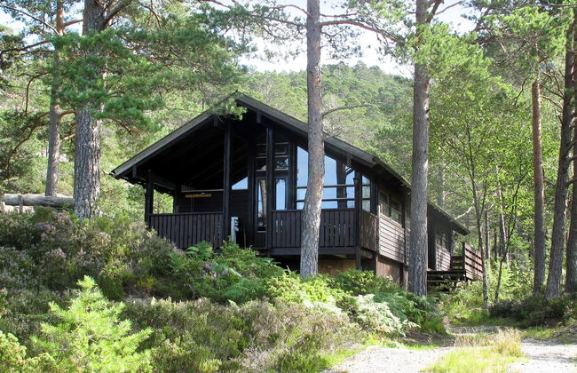 Sandvikfjellet - Foto 20