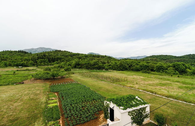 Apartments Dubrovnik Banac - Photo 31