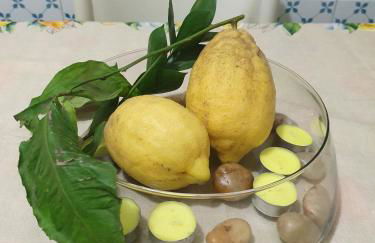 Home In The Blue - Foto 55